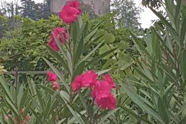 פנסיון Les Chambres De Mélis