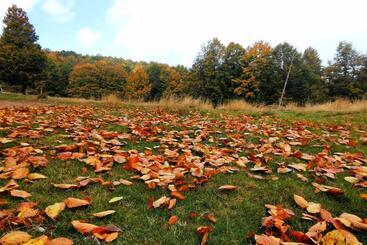 Пансион Motolan