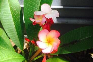 Rivershack Pet Friendly