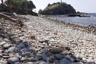 פנסיון Lanta Daisy Residence