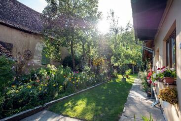 פנסיון Villa Rihuini Eco Wine House Transylvania