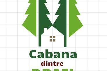 膳宿费 Cabana Dintre Brazi