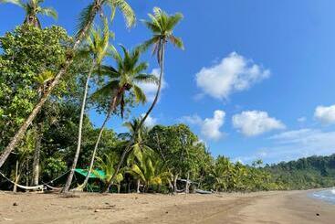בית מלון כפרי Cabaña En El Rincon Corcovado