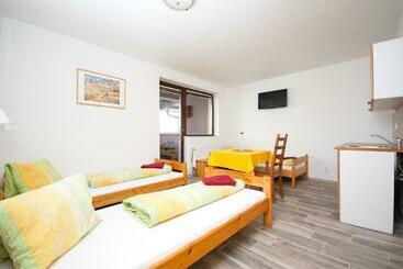 פנסיון Areál Přístav