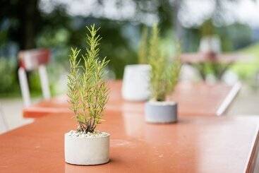 Vegan Health Hotel Sonnenberg