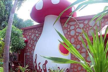 Mushroom House Kohlarn