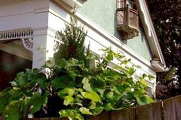 تختخواب و صبحانه Maison Lavigne