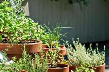 ベッドアンドブレックファースト Marshall Slocum Inn