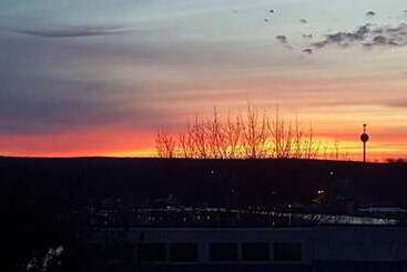 בית מלון כפרי Hawk's Nest Lodge