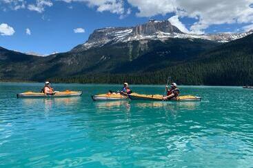 リゾートホテル Vagabond Lodge At Kicking Horse