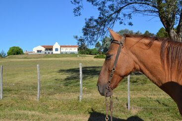 هتل St Michel Wellness