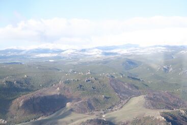 מוטל Buffalo Inn