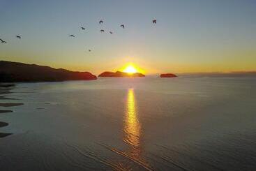 مُتل Century Park