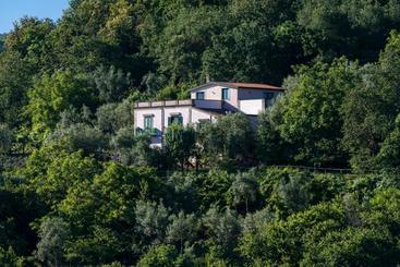 住宿加早餐 Il Casale Sorrento