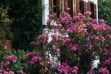 پانسیون Terrace Houses Sirince   Fig, Olive Clockmakers And Grapevine