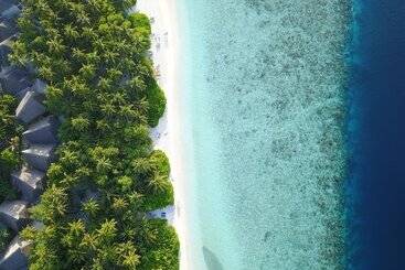 호텔 Fihalhohi Maldives