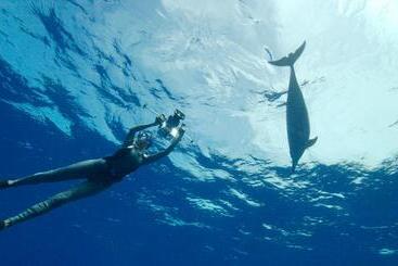 פנסיון Pousada Luna