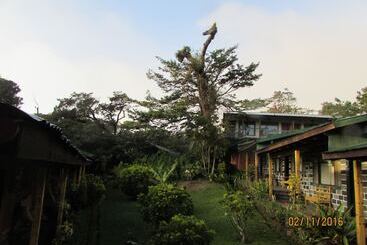 בית מלון כפרי Villa Verde