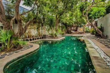 מוטל Scallywags Mango Retreat