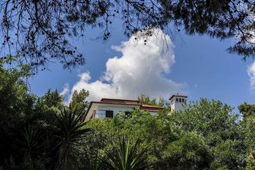 アパートメント Stella