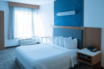 فندق Springhill Suites By Marriott Dallas Lewisville