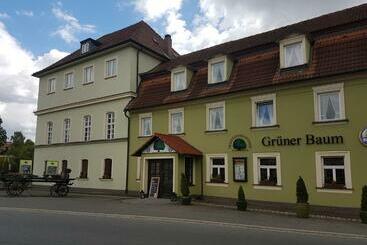 ホテル Traditionsgasthof Grüner Baum