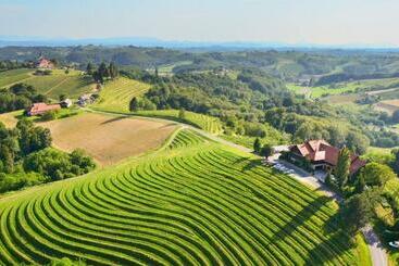 膳宿费 Taverna & Wine Jeruzalem