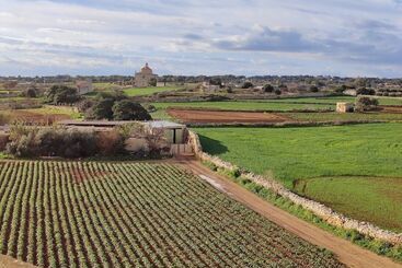 تختخواب و صبحانه Joseluce