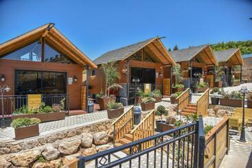 Отель Mitzpe Hermon Tzimmers