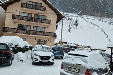 Pensiunea Bradul,moieciu De Sus