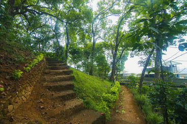 هتل Forest Glade