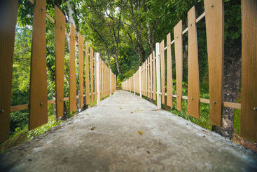 هتل Forest Glade