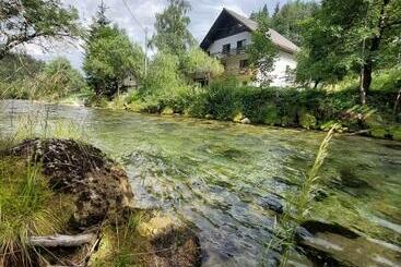 The Riverside Chill Hostel