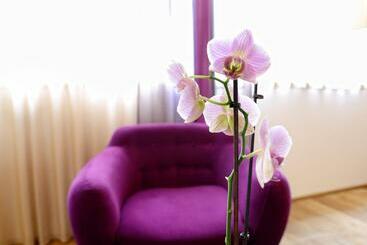 펜션 Brandmayerhof