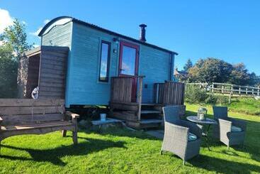 펜션 The Shepherds Hut At Forestview Farm