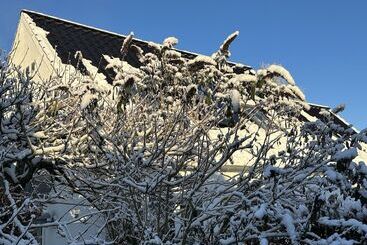 فندق فئة نجمة واحدة Helts B&b   Helts Guesthouse