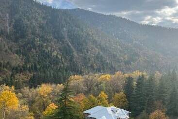 هتل Borjomi Likani Health & Spa Centre
