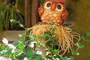 בית מלון כפרי Fiori D Arancio