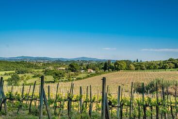 호텔 Agriturismo Palazzo Bandino   Wine Cellar, On Reservation Restaurant And Spa