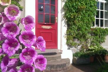 Bed and Breakfast Wilmot House