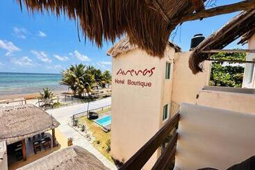 酒店 Arenas Mahahual