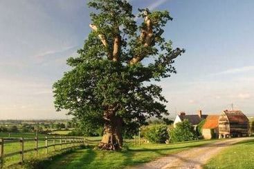 Huntstile Organic Farm