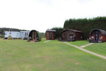 بنسيون Old Hall House, Nec