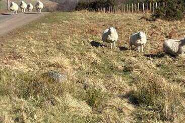 一軒屋 The Shepherds Hut