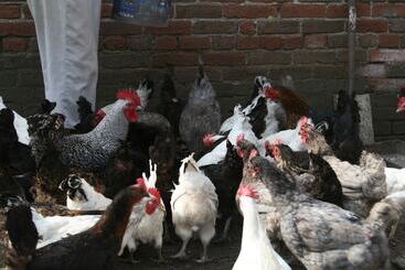 민박 Burnhopeside Hall