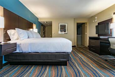 Holiday Inn Hotel & Suites Chattanooga, An Ihg
