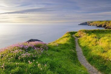 פנסיון Gwynfryn Guest House Pembrokeshire