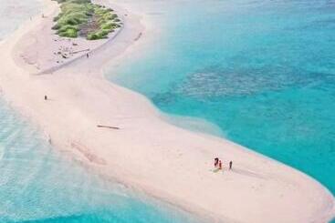 ホテル Mystic Maldives  Mathiveri Retreat