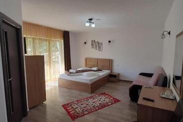 ペンション Casa Maria Moieciu De Sus