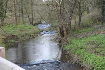 בית מלון כפרי We Three Loggerheads